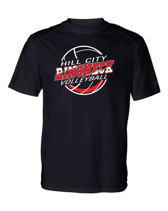 Badger Dri Fit T-Shirt- HCHS VB