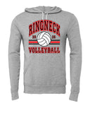 Bella Canvas Hooded Sweatshirt- HCHS VB 2025