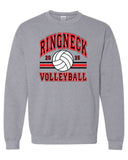 Gildan Crewneck Sweatshirt- HCHS VB 2025