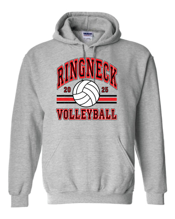 Gildan Hooded Sweatshirt- HCHS VB 2025