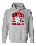 Gildan Hooded Sweatshirt- HCHS VB 2025